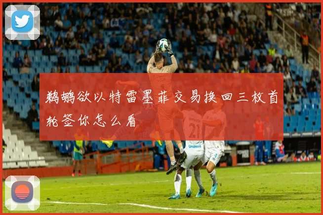 鹈鹕欲以特雷墨菲交易换回三枚首轮签你怎么看