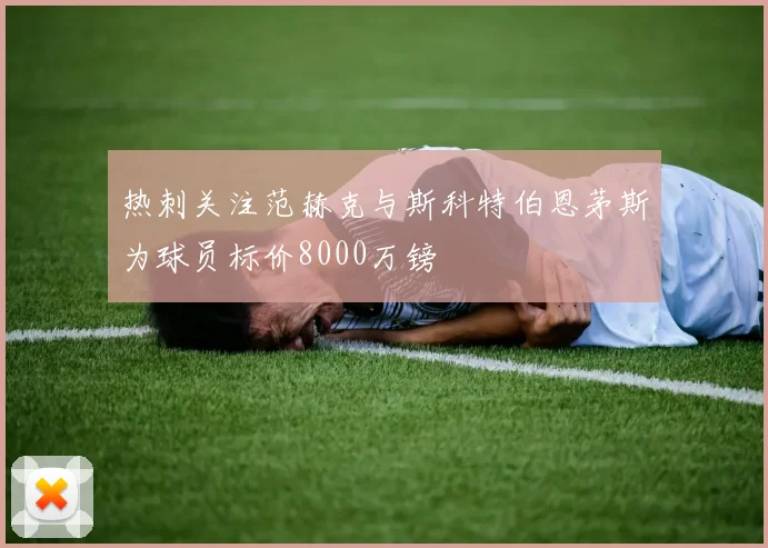 热刺关注范赫克与斯科特伯恩茅斯为球员标价8000万镑